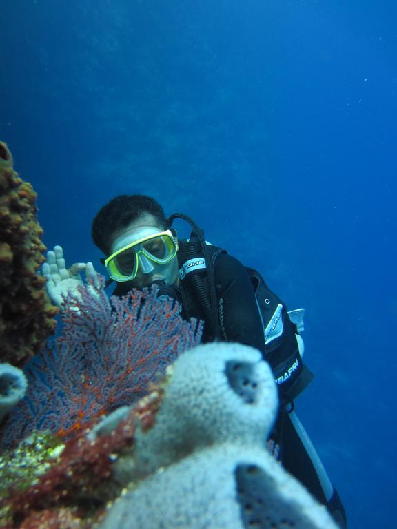 Nusantara Diving Centre &
